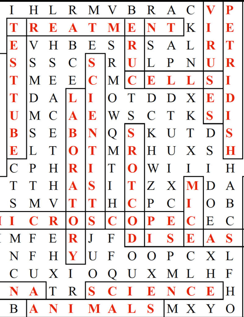 Word Search - Answers
