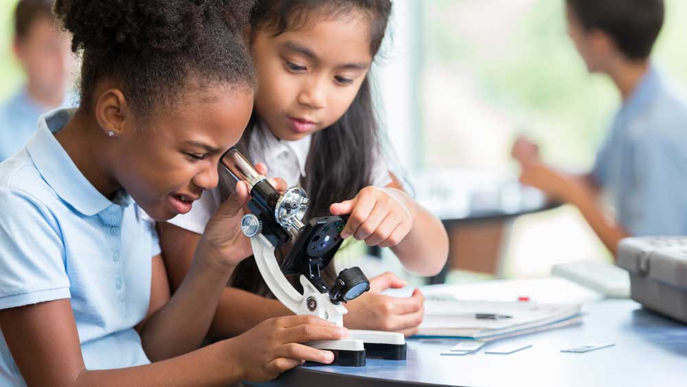 Children viewing through a microscope