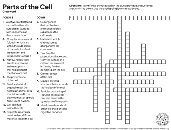 Parts of the Cell Crossword